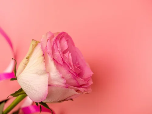 Doğum Haritası Hesaplama ve Kişisel Yolculuğun